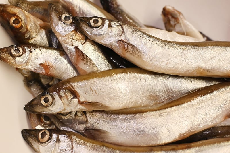 Gastronomic Feast