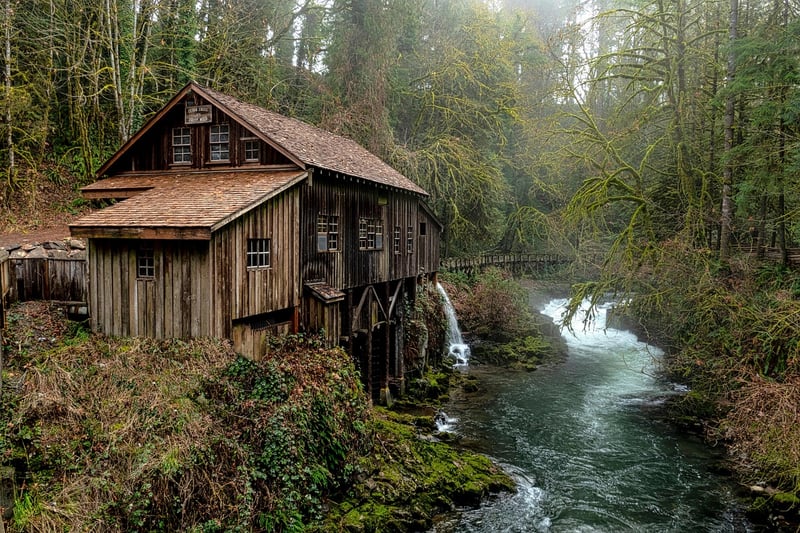 Riverside Cabin View